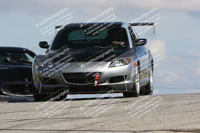 media/Mar-31-2024-Speed Ventures (Sun) [[a3b2bf813d]]/Purple/Session 2 (Grapevine)/